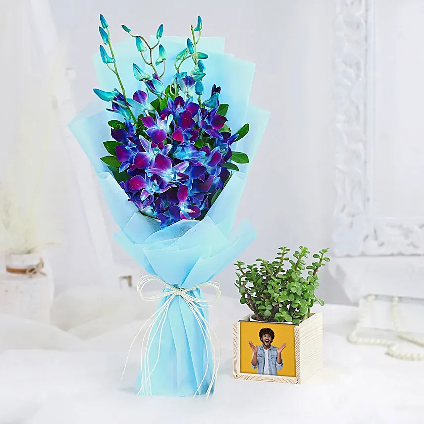 Exotic Orchids N Jade Plant Gift Combo