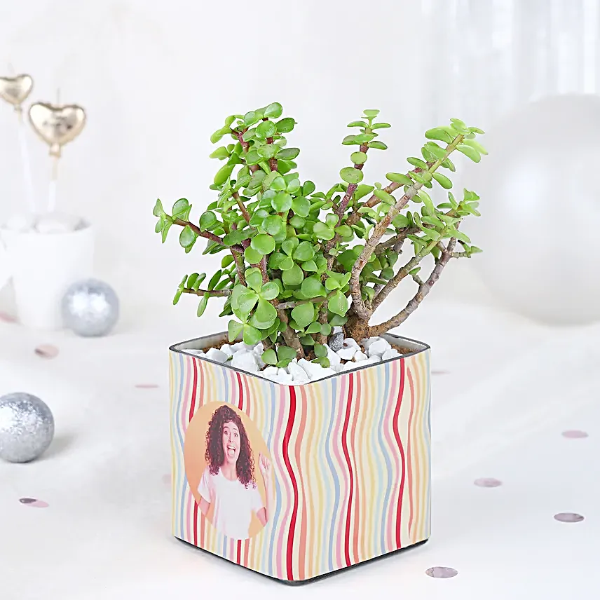 Fabulous Jade Harmony