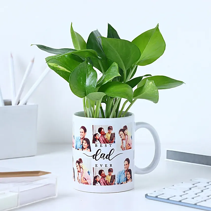 Fathers Day Money Plant Surprise