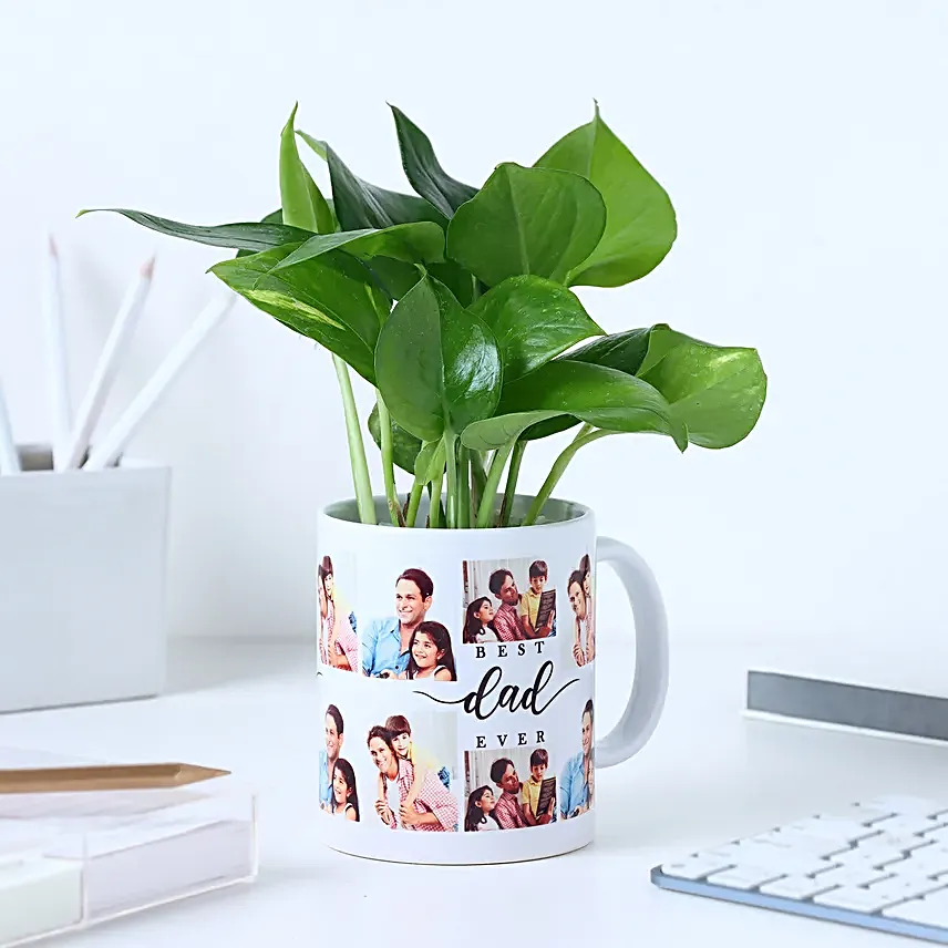 Fathers Day Money Plant Surprise
