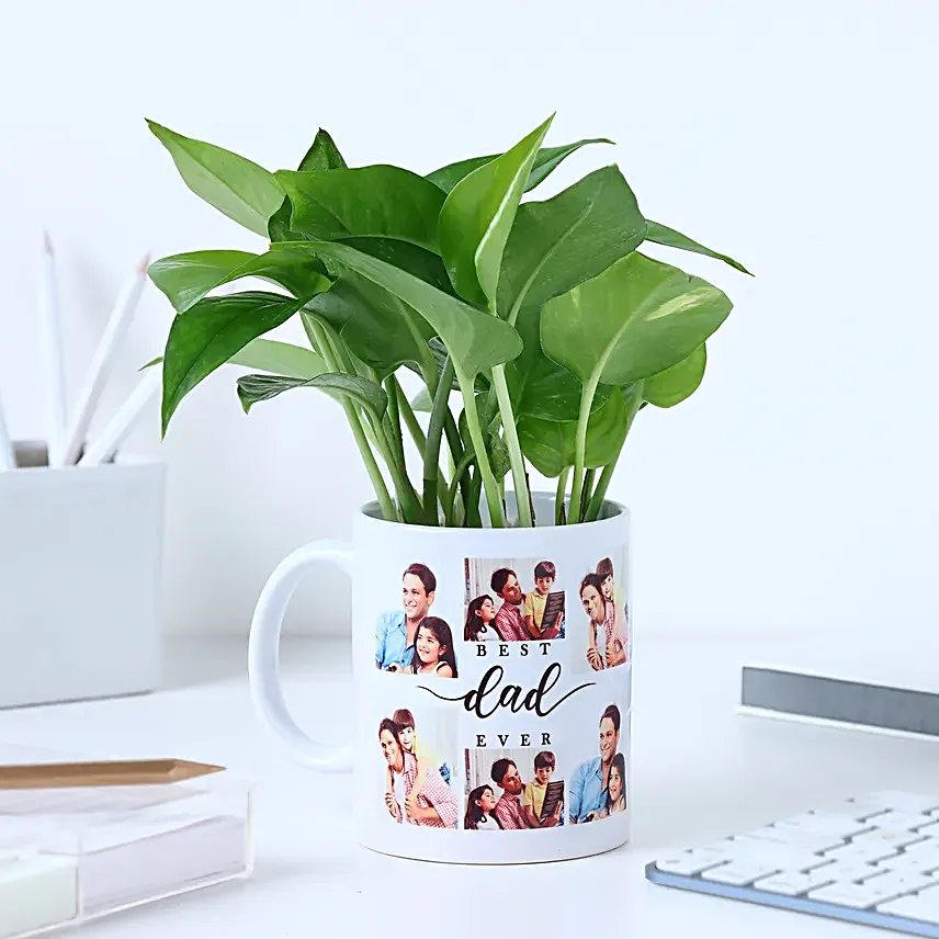 Fathers Day Money Plant Surprise