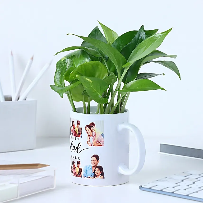 Fathers Day Money Plant Surprise