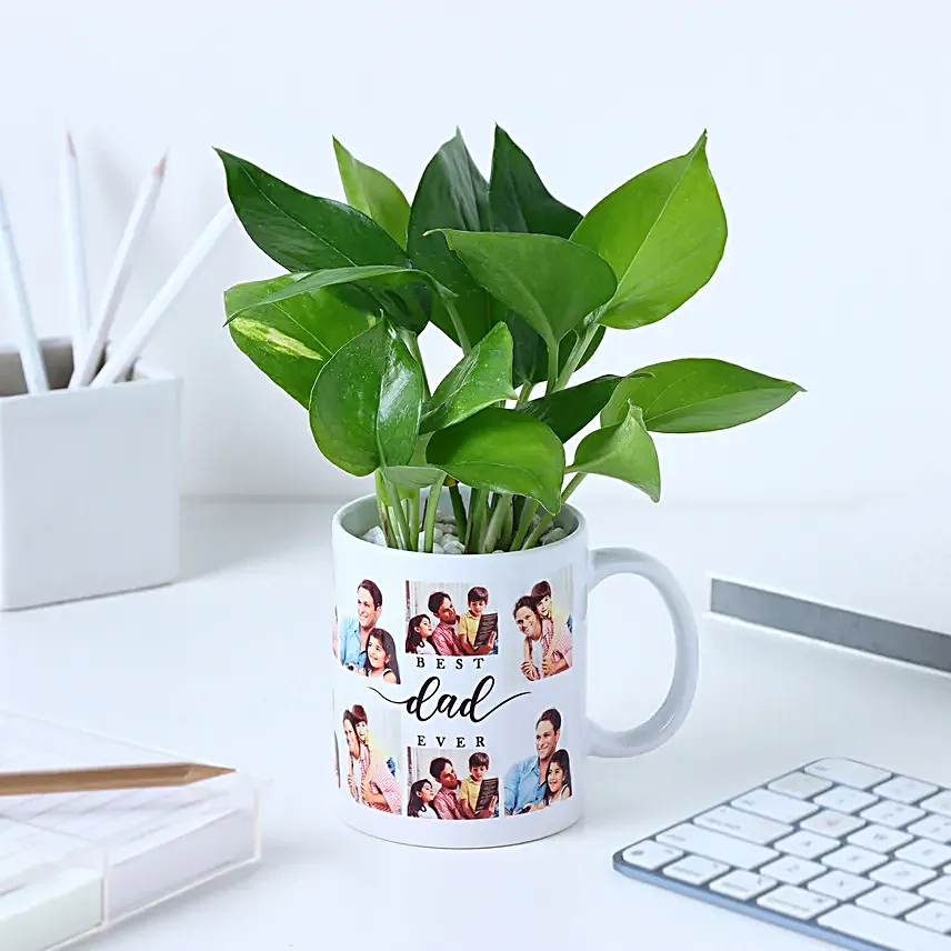 Fathers Day Money Plant Surprise
