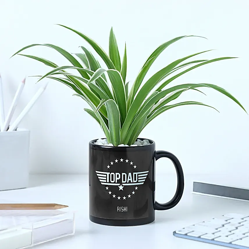 Fathers Day Mug N Foliage Delight