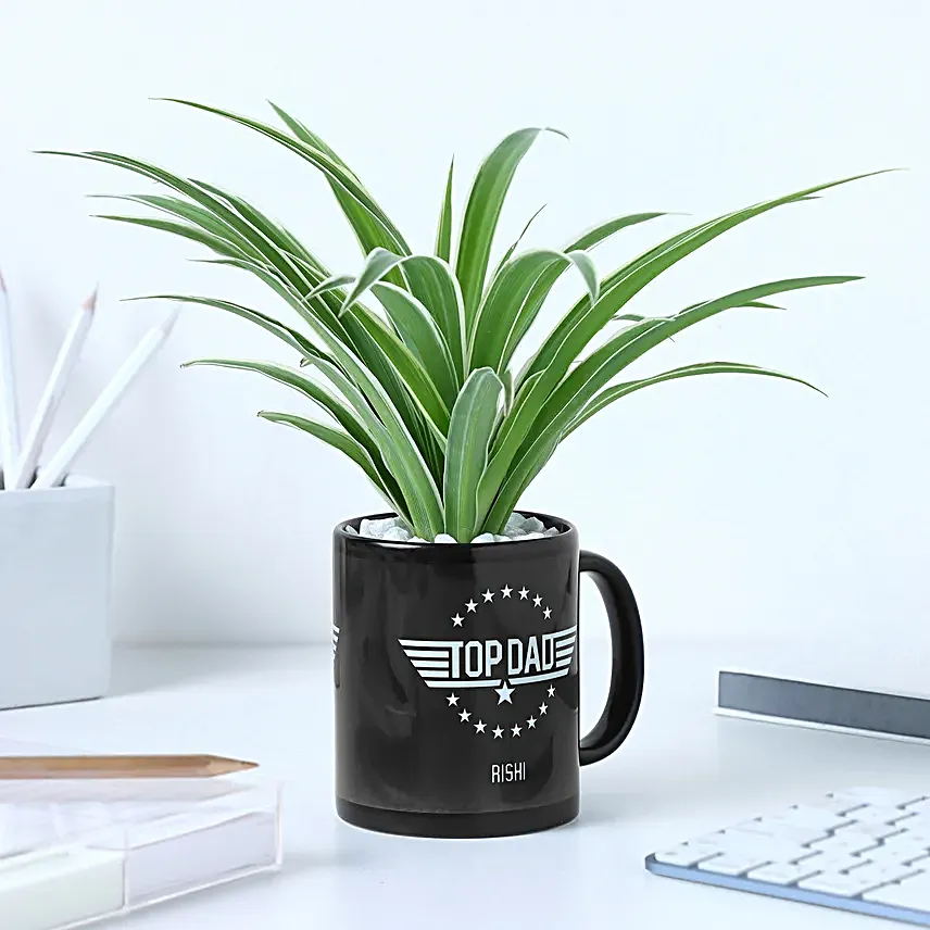 Fathers Day Mug N Foliage Delight