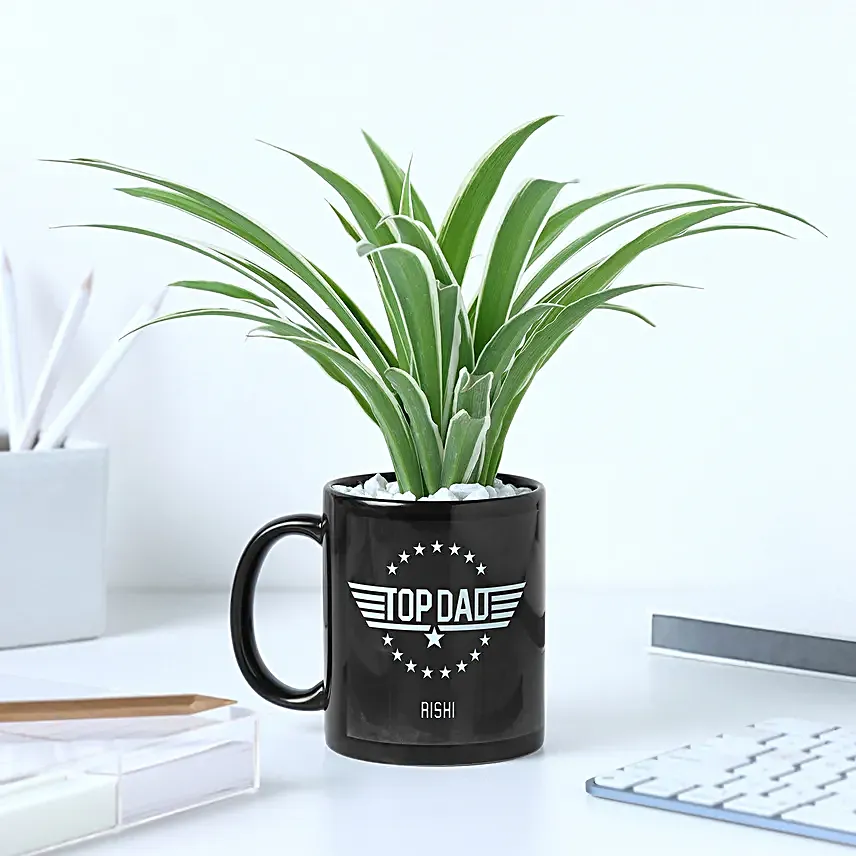 Fathers Day Mug N Foliage Delight