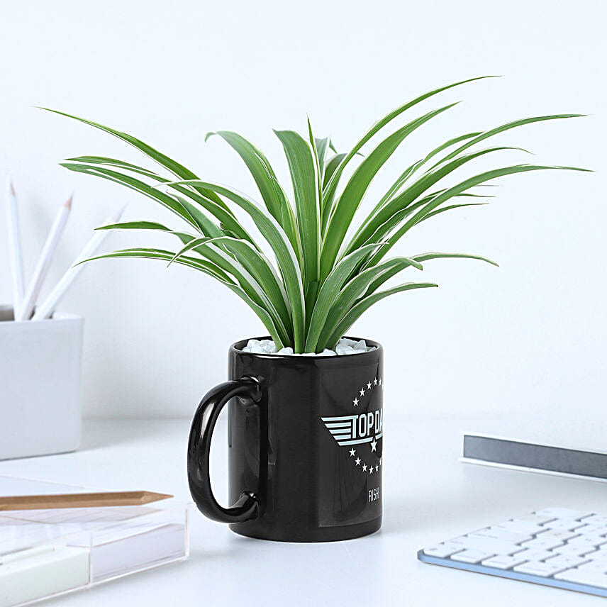 Fathers Day Mug N Foliage Delight