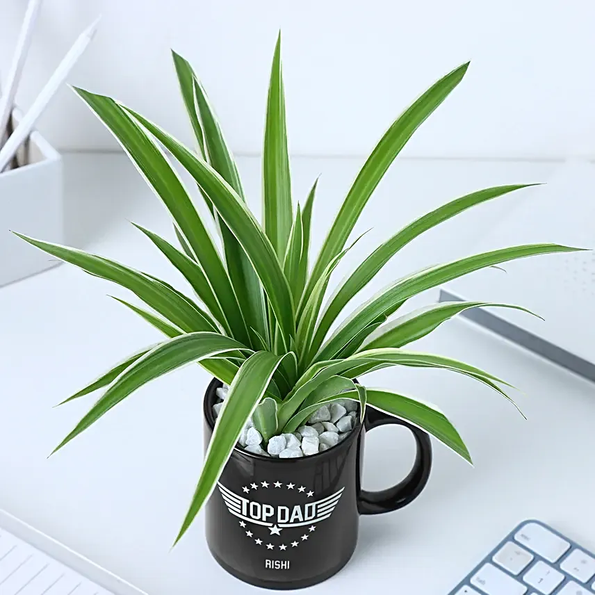 Fathers Day Mug N Foliage Delight