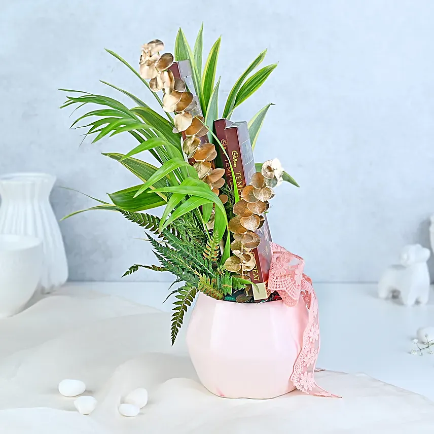 Fern and Chocolate Harmony