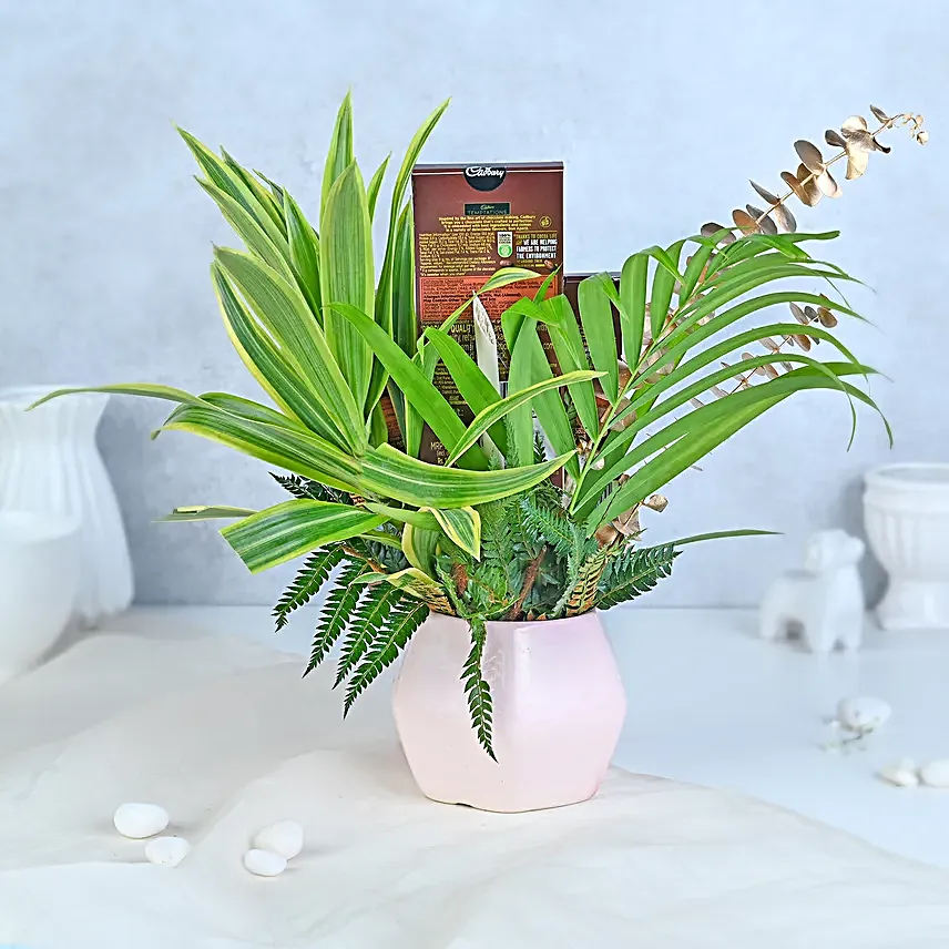 Fern and Chocolate Harmony