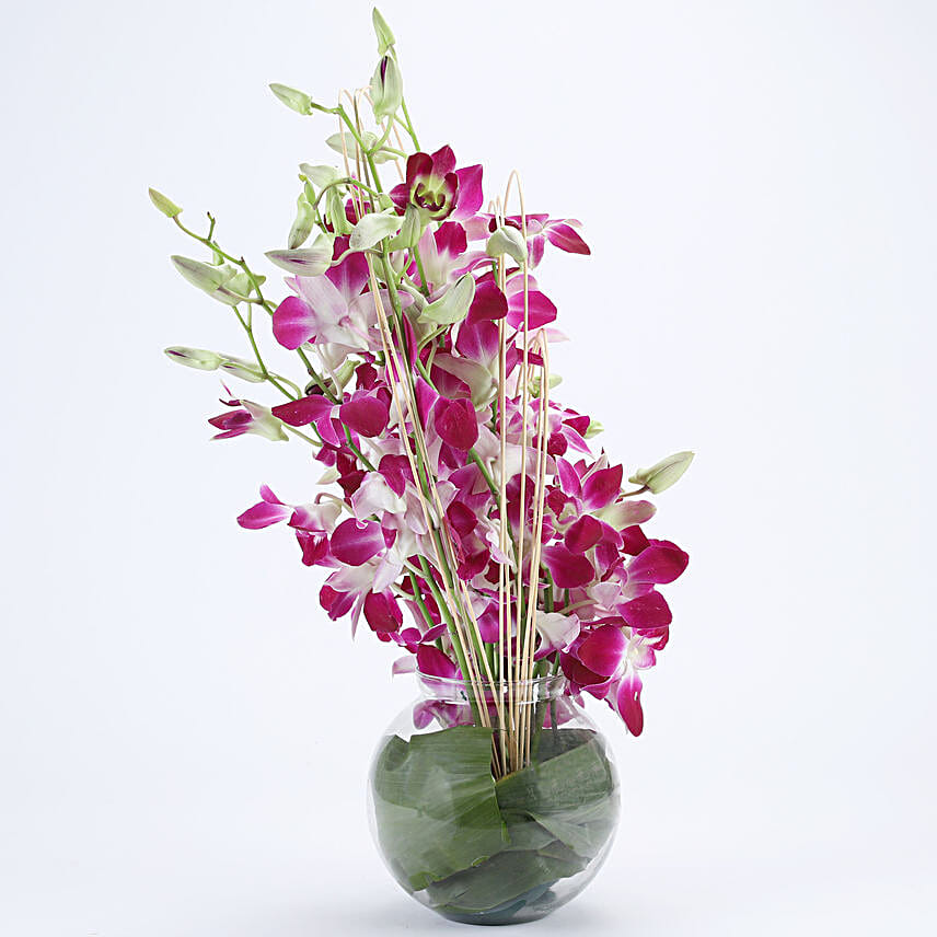 online purple orchids flower for diwali