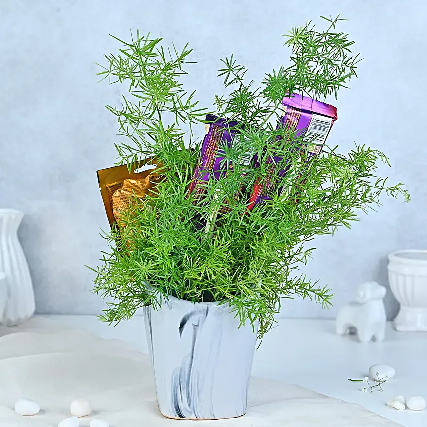Festive Sweets N Greens Gift Basket
