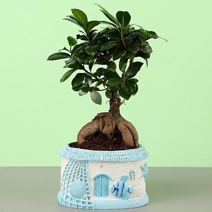 Feng Shui Bosai Online for Workstation