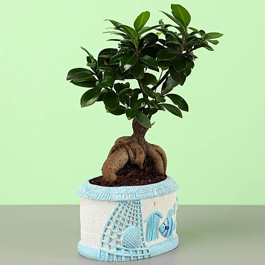 Feng Shui Bosai Online for Workstation