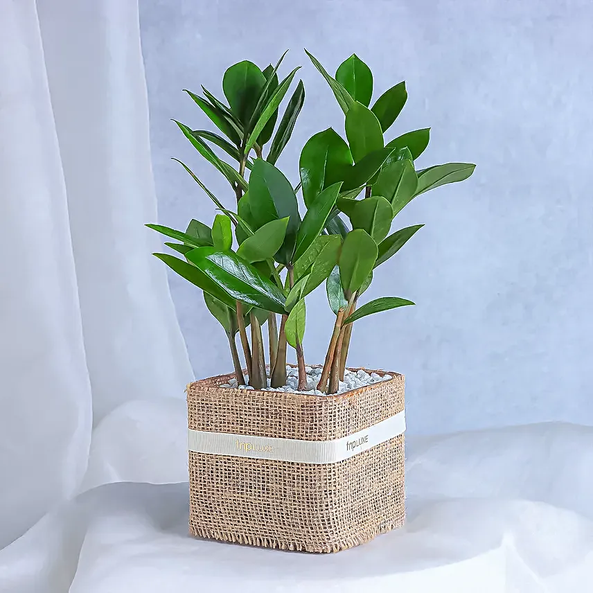 Flourishing Foliage