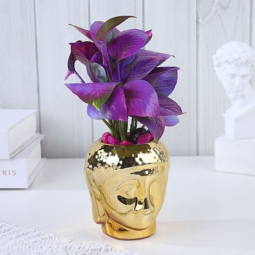 Flourishing Love Plant N Rakhi Set