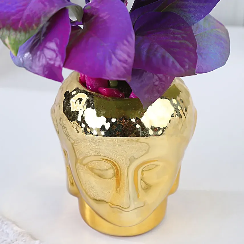 Flourishing Love Plant N Rakhi Set