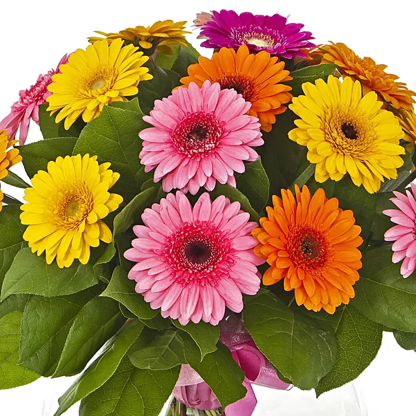 Flowers Of Paradise Gerberas Vase