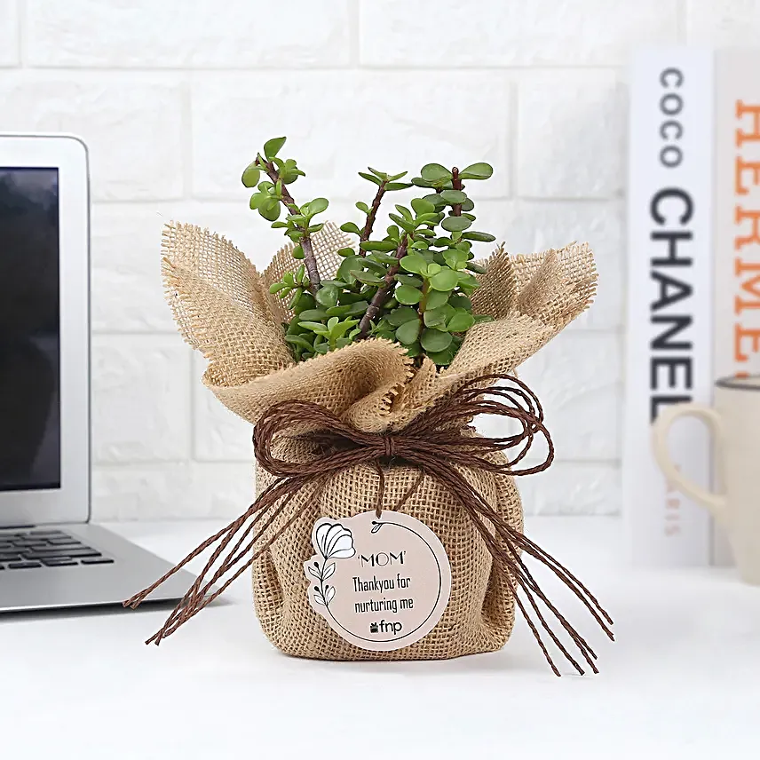 Forever Grateful To You Mom Jade Plant Pot