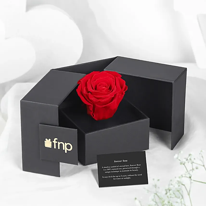 Forever Red Rose N Teddy combo