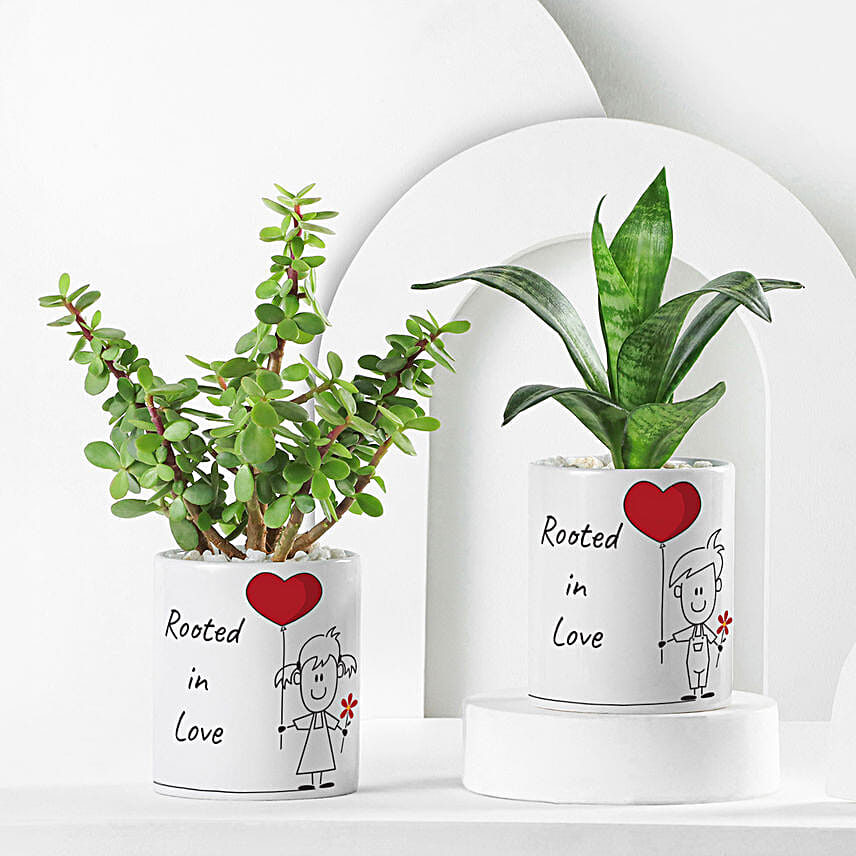 Forever Rooted In Love Plant Duo
