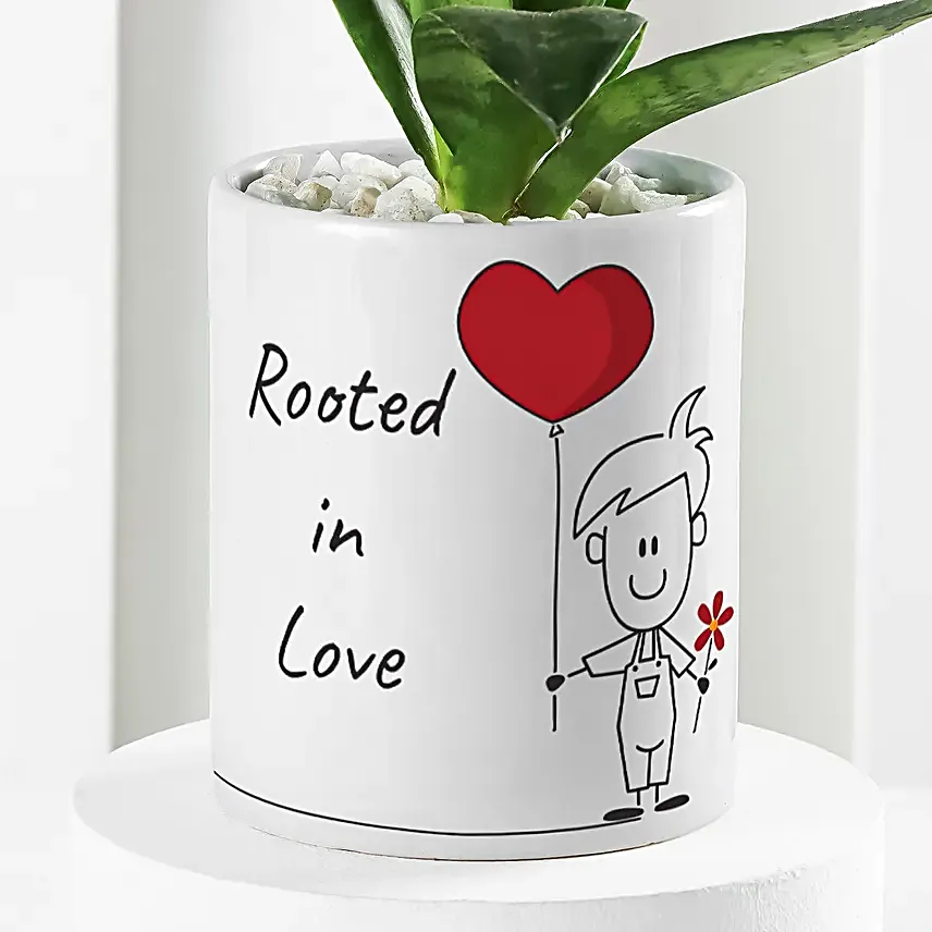 Forever Rooted In Love Plant Duo