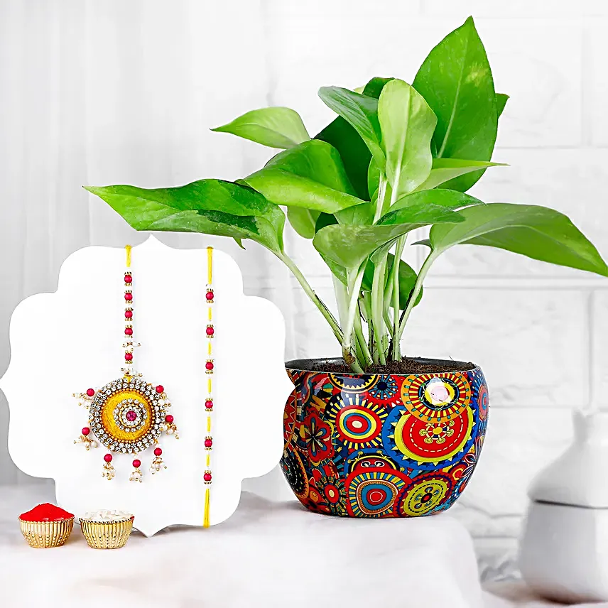 Ganesha Good Vibes Rakhi N Ficus Compacta Pot Combo