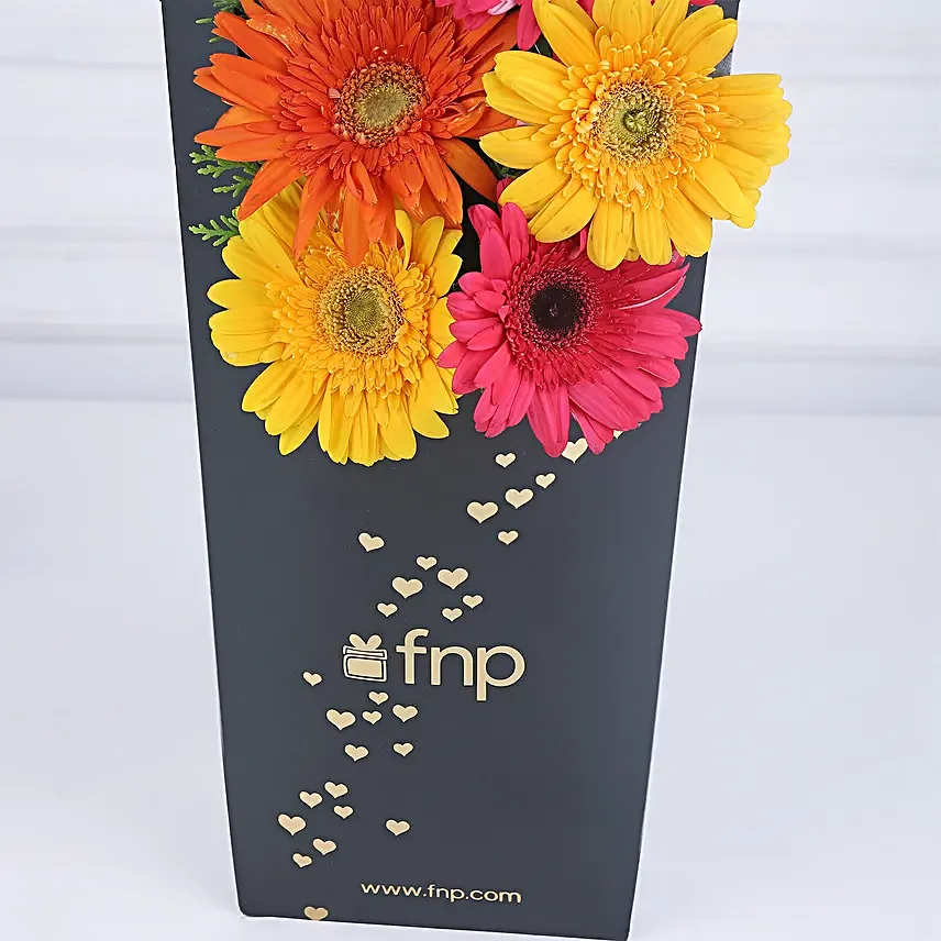 Gerberas Hearts Sleeve