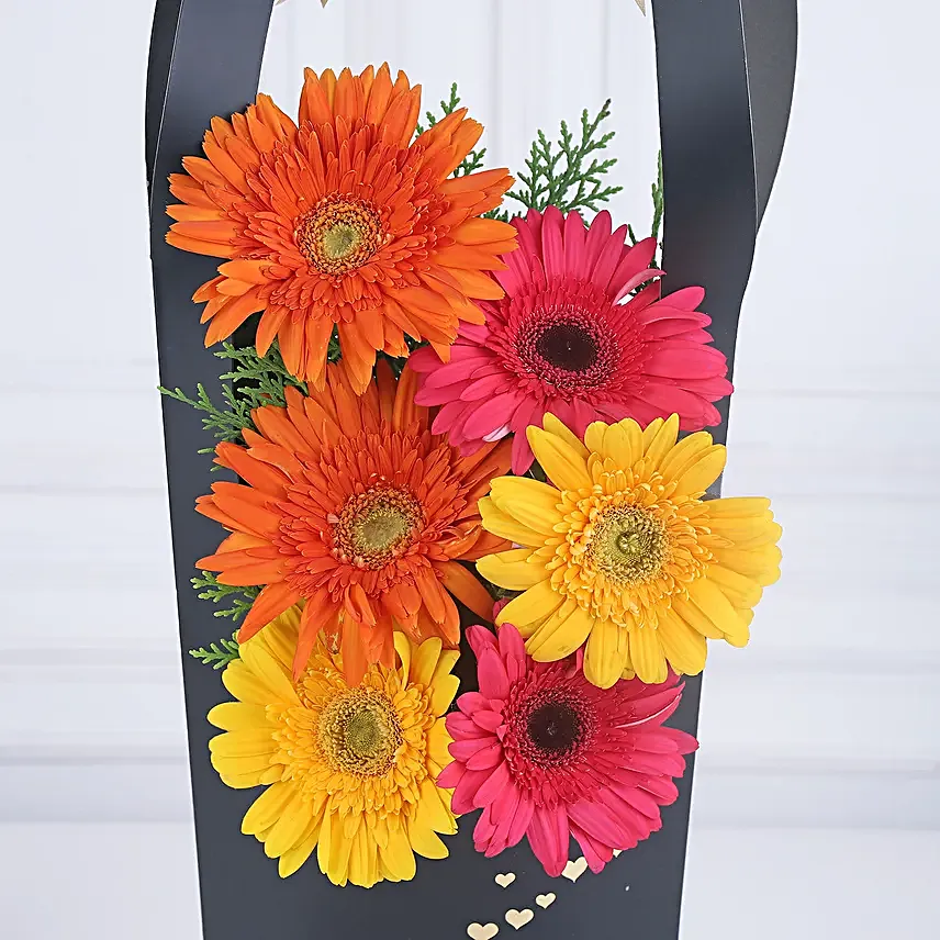 Gerberas Hearts Sleeve