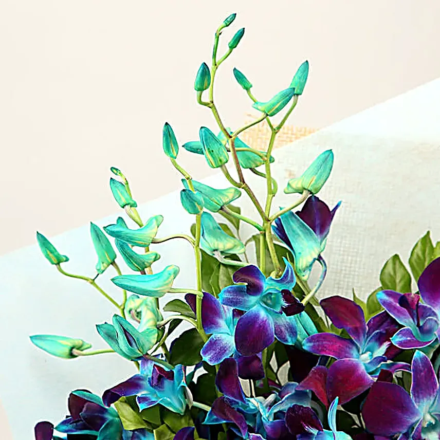 Gleaming Love Purple Orchids Bouquet