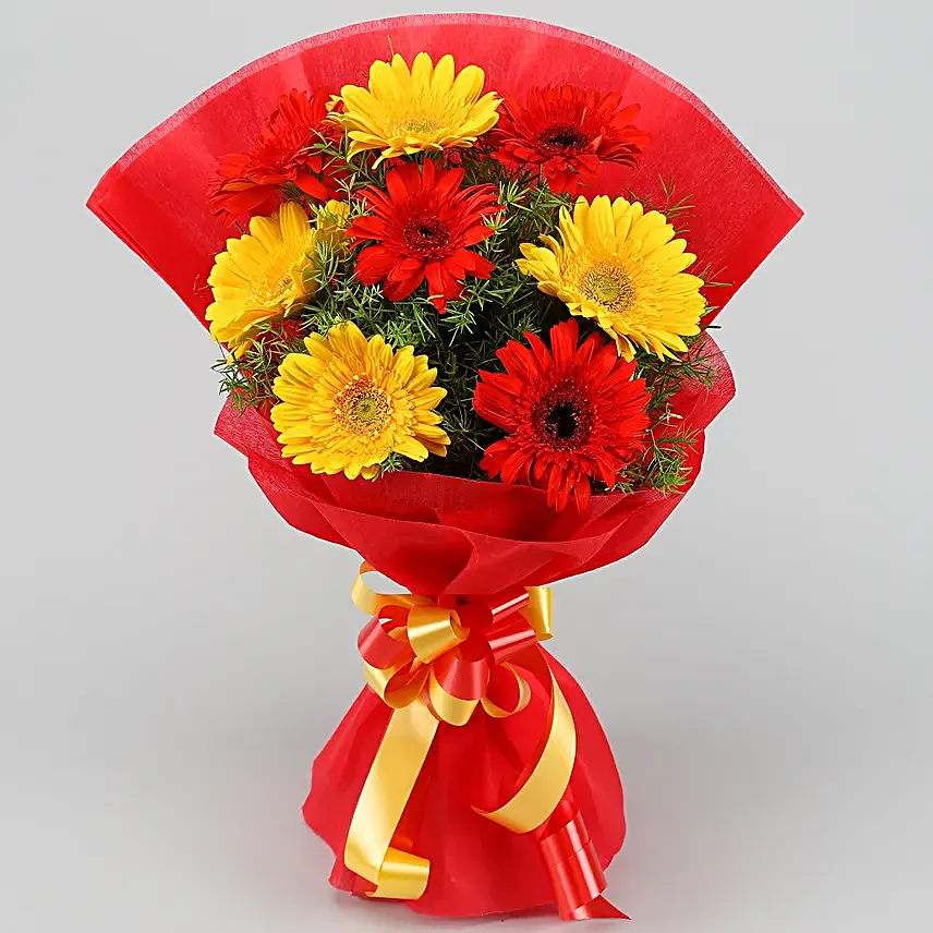 Glorious Red Yellow Gerbera Blossoms