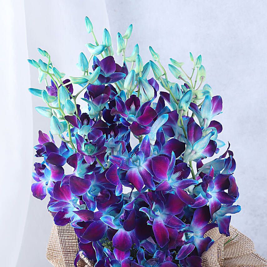 Gorgeous Blue Orchids Arrangement