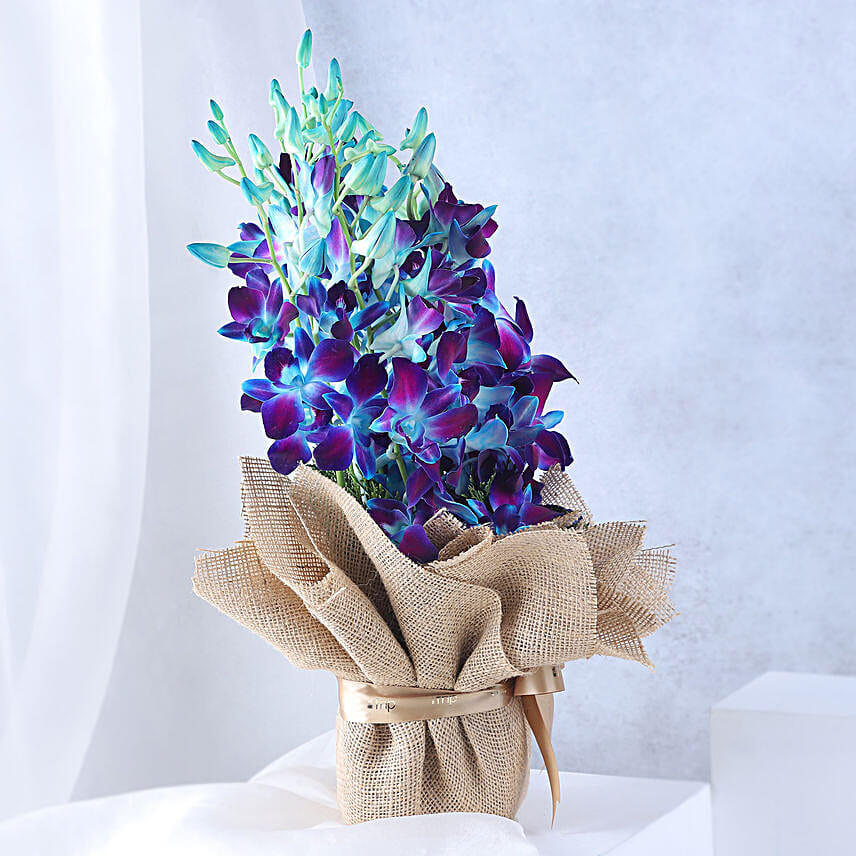 Gorgeous Blue Orchids Arrangement