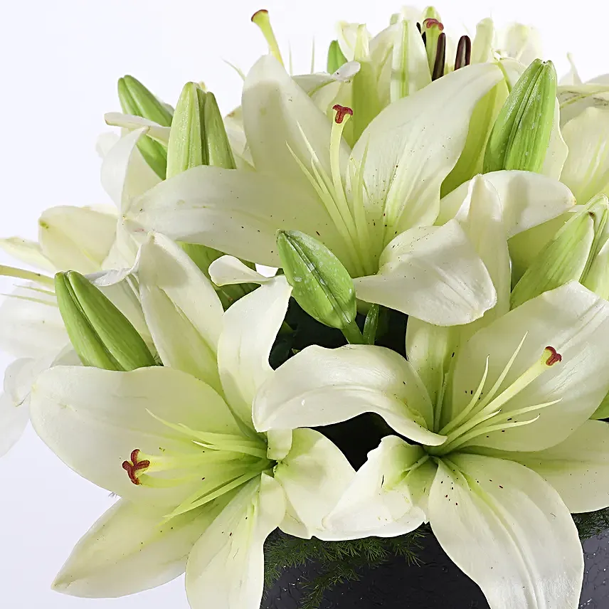 Exclusive Lilies Arrangement Online