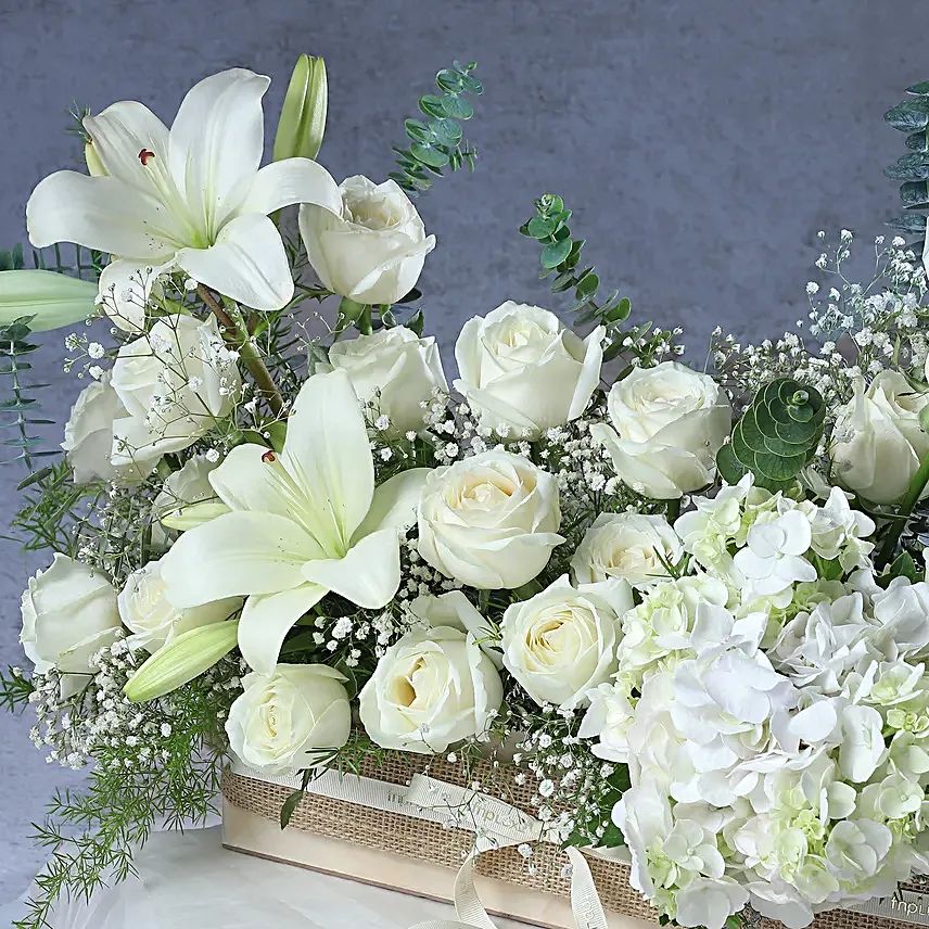 Gracious Blossoms