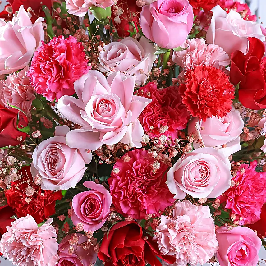Grand Pink Paradiso