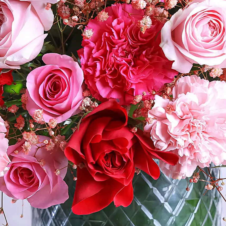 Grand Pink Paradiso
