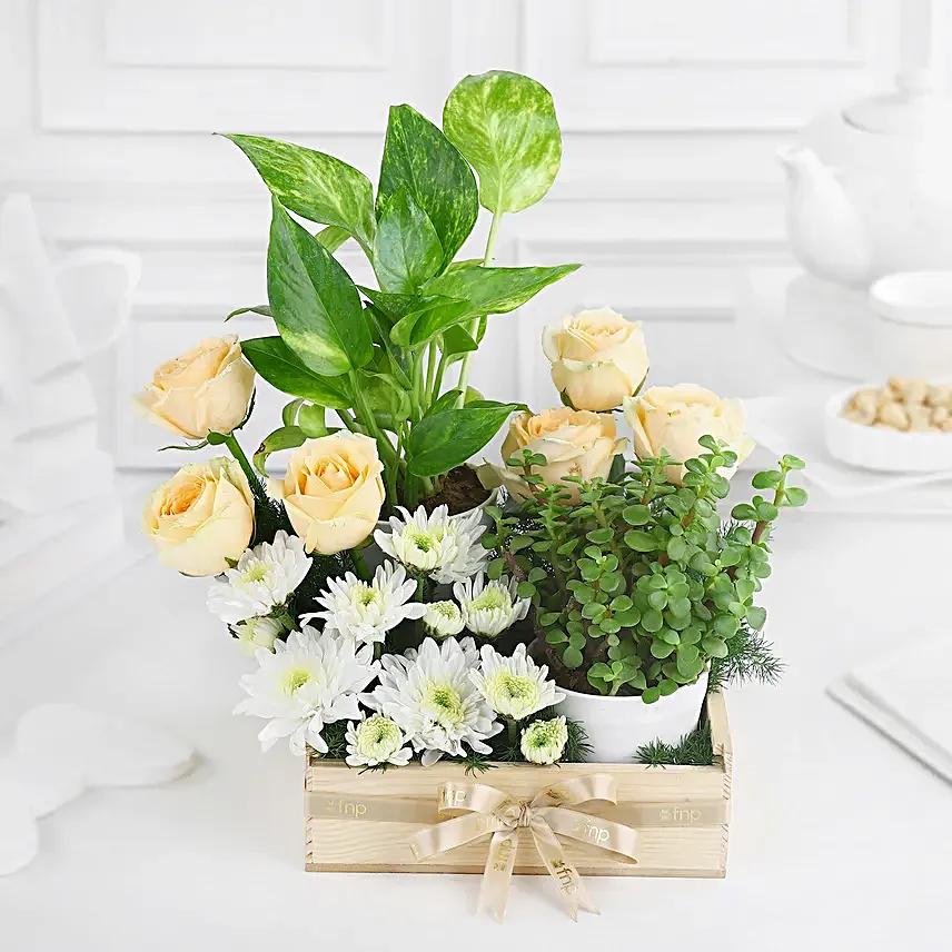Green Babies N Floral Beauties Gift Tray