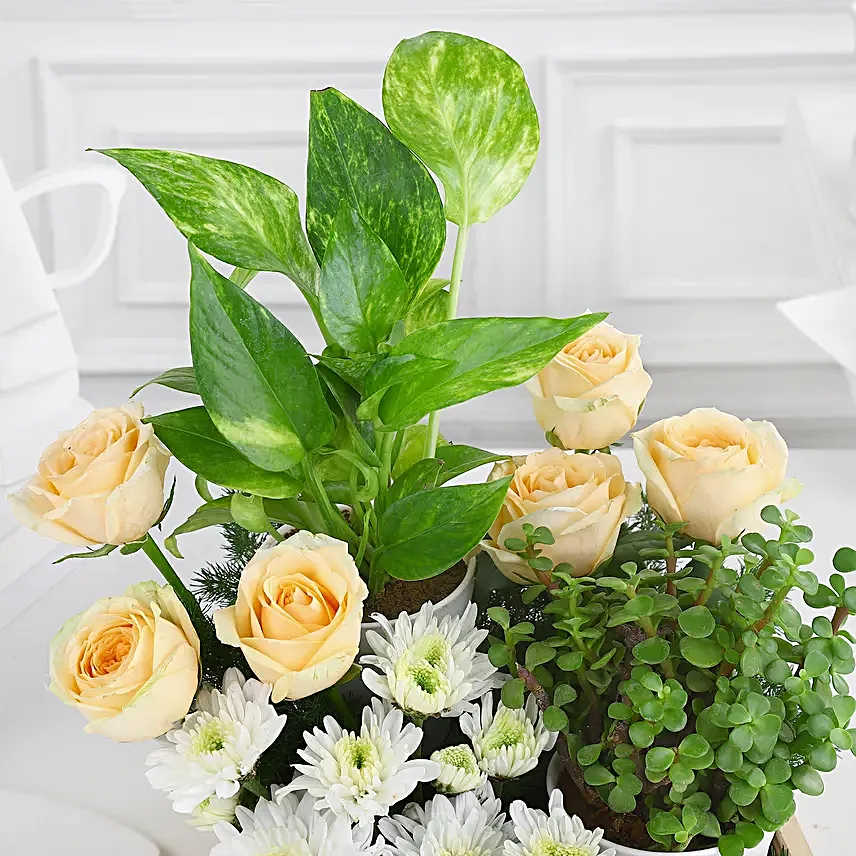 Green Babies N Floral Beauties Gift Tray