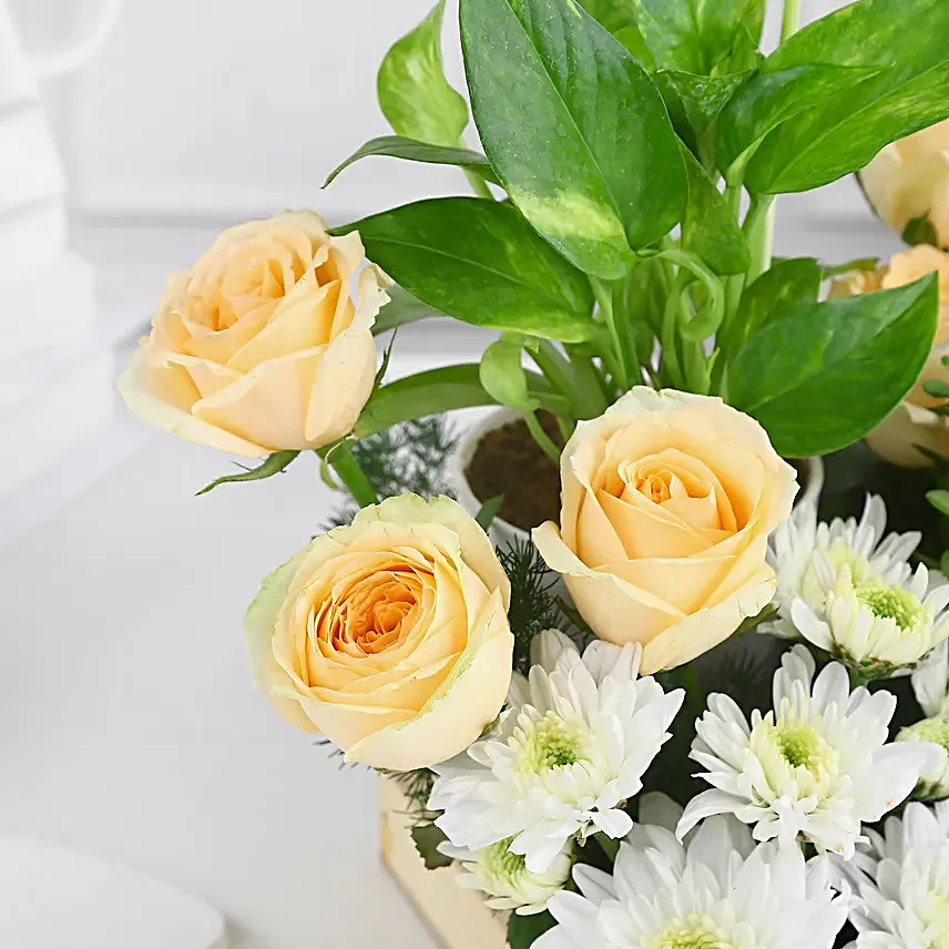 Green Babies N Floral Beauties Gift Tray