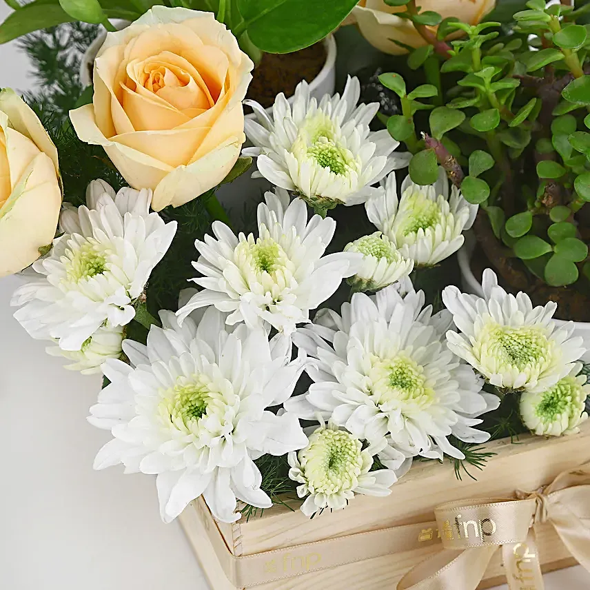 Green Babies N Floral Beauties Gift Tray
