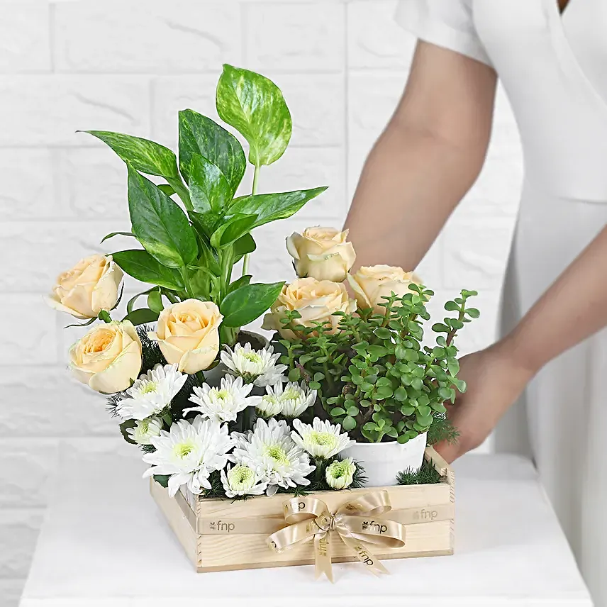 Green Babies N Floral Beauties Gift Tray