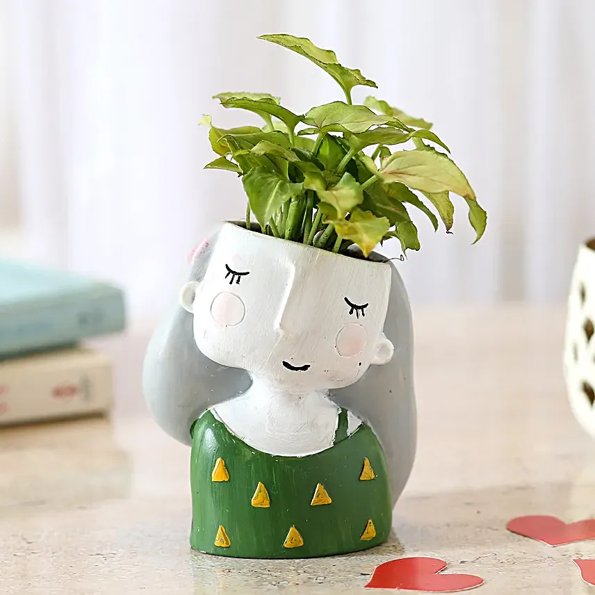 syngonium plant in attractive pot