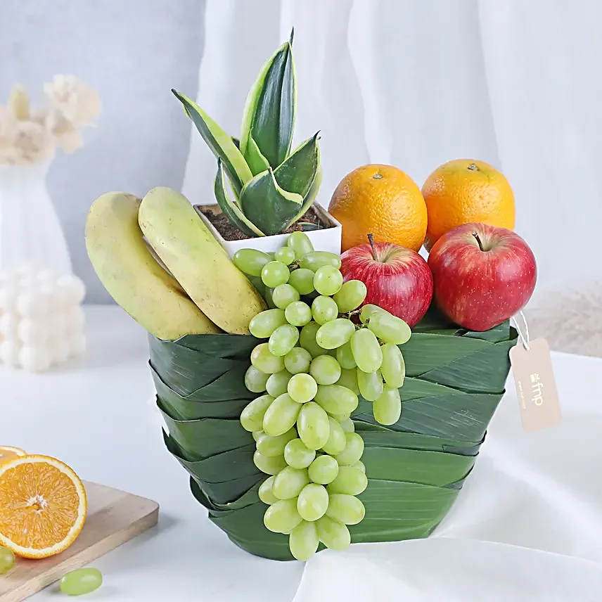 Greenery and Fresh Fruits