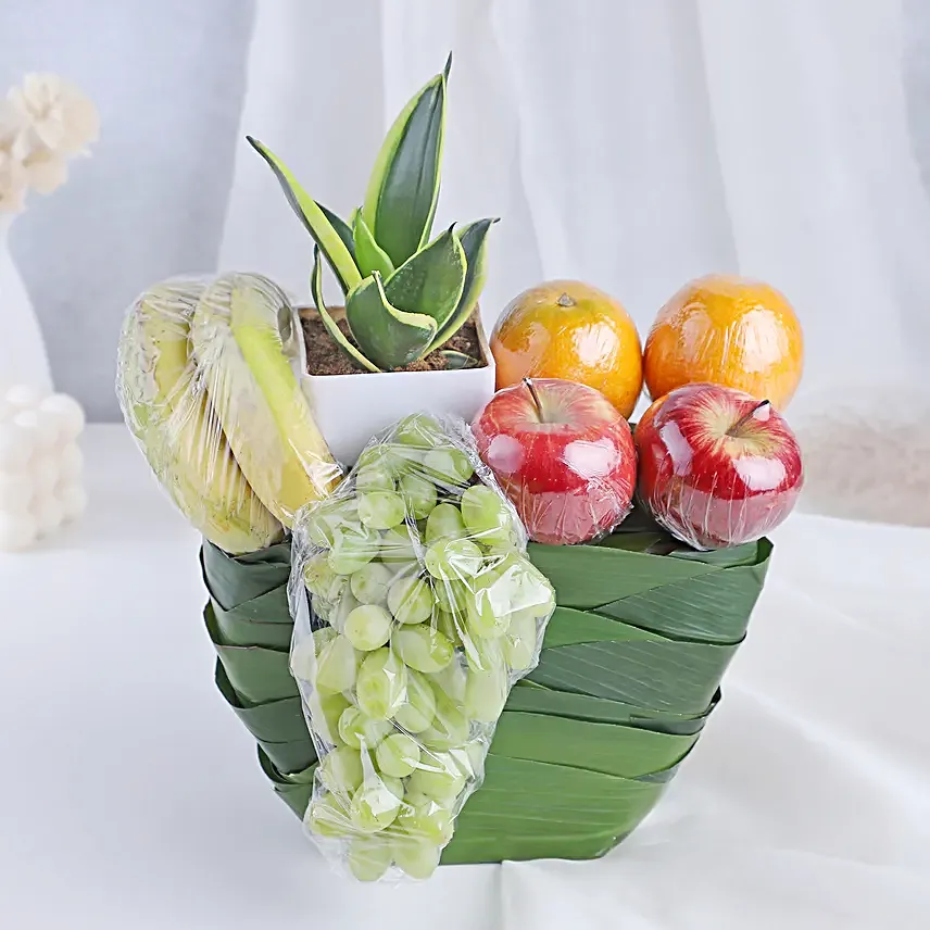 Greenery and Fresh Fruits