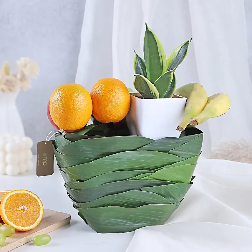 Greenery and Fresh Fruits