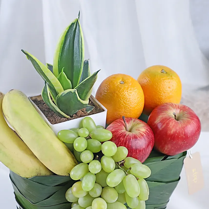 Greenery and Fresh Fruits