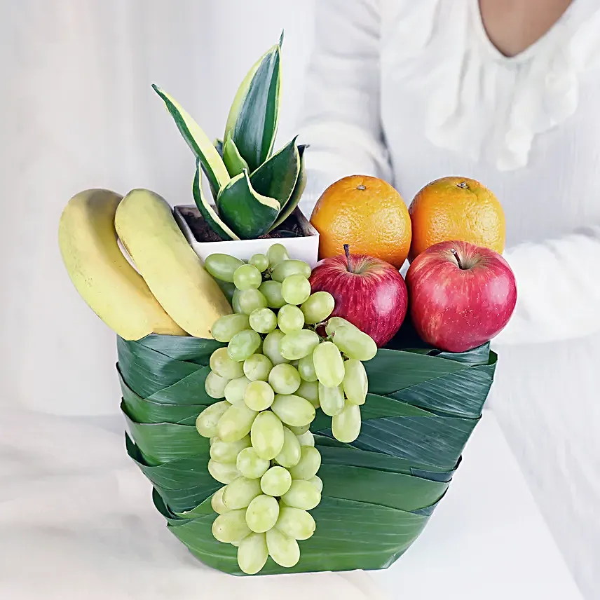 Greenery and Fresh Fruits