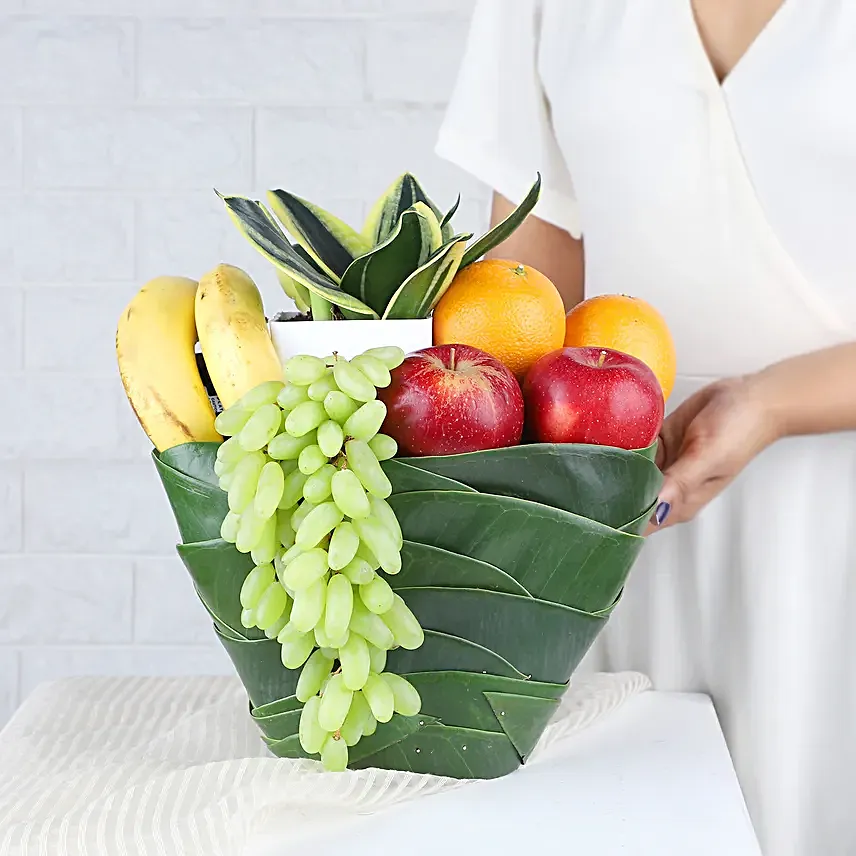 Greenery and Fresh Fruits