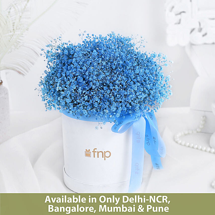 Gypso Grace in Blue